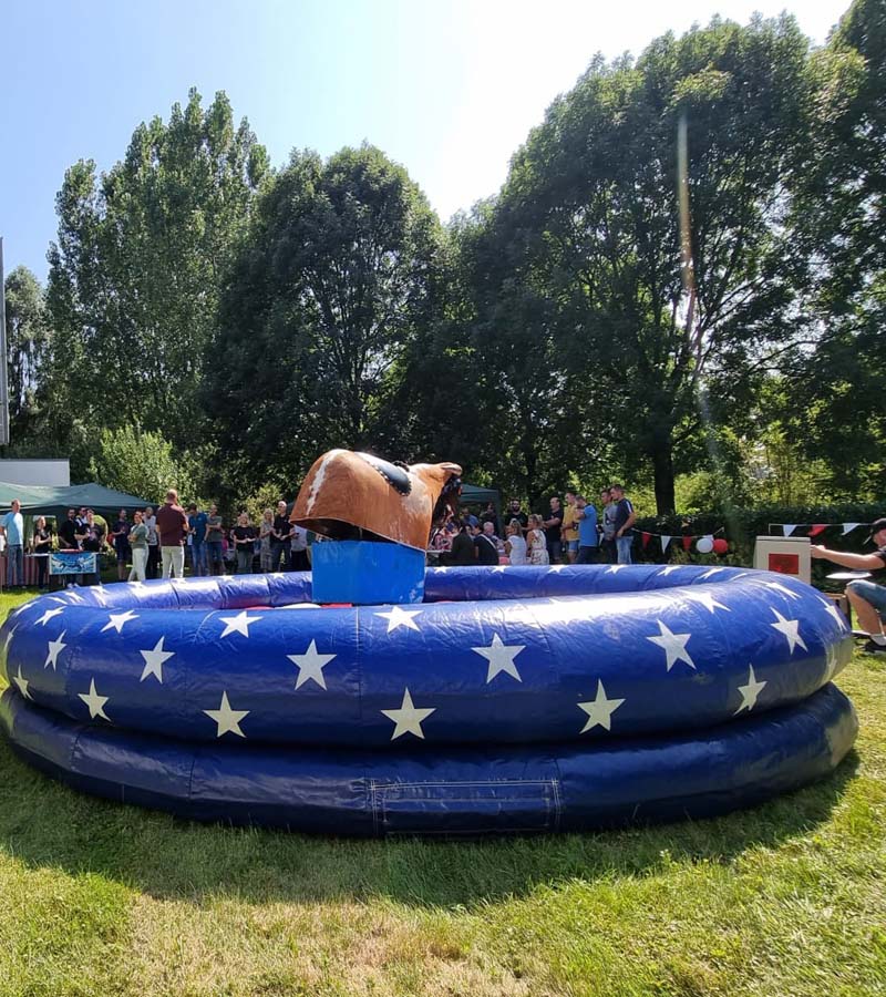 Bullriding Bronco